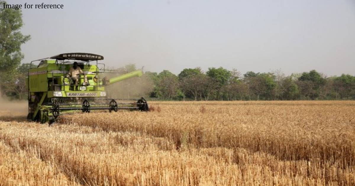 Centre bans wheat export with immediate effect